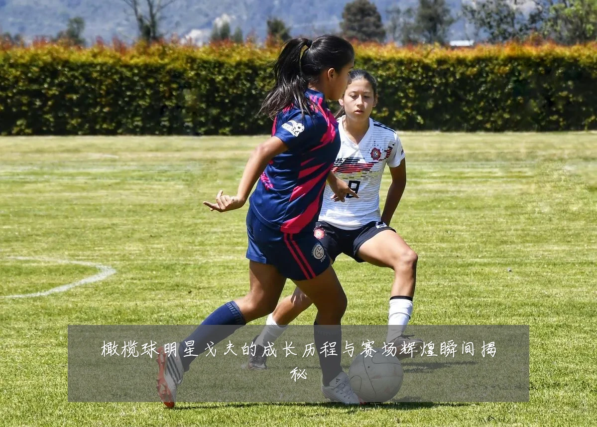 橄榄球明星戈夫的成长历程与赛场辉煌瞬间揭秘